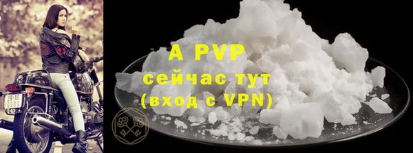 трава Пересвет