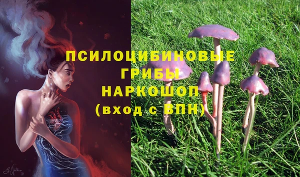 кокс Алексин